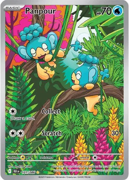 Panpour 101/086 Black Bolt